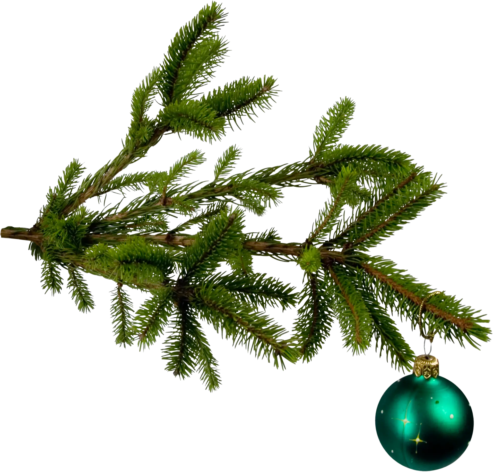 Pine Branch with Green Ornament for Christmas