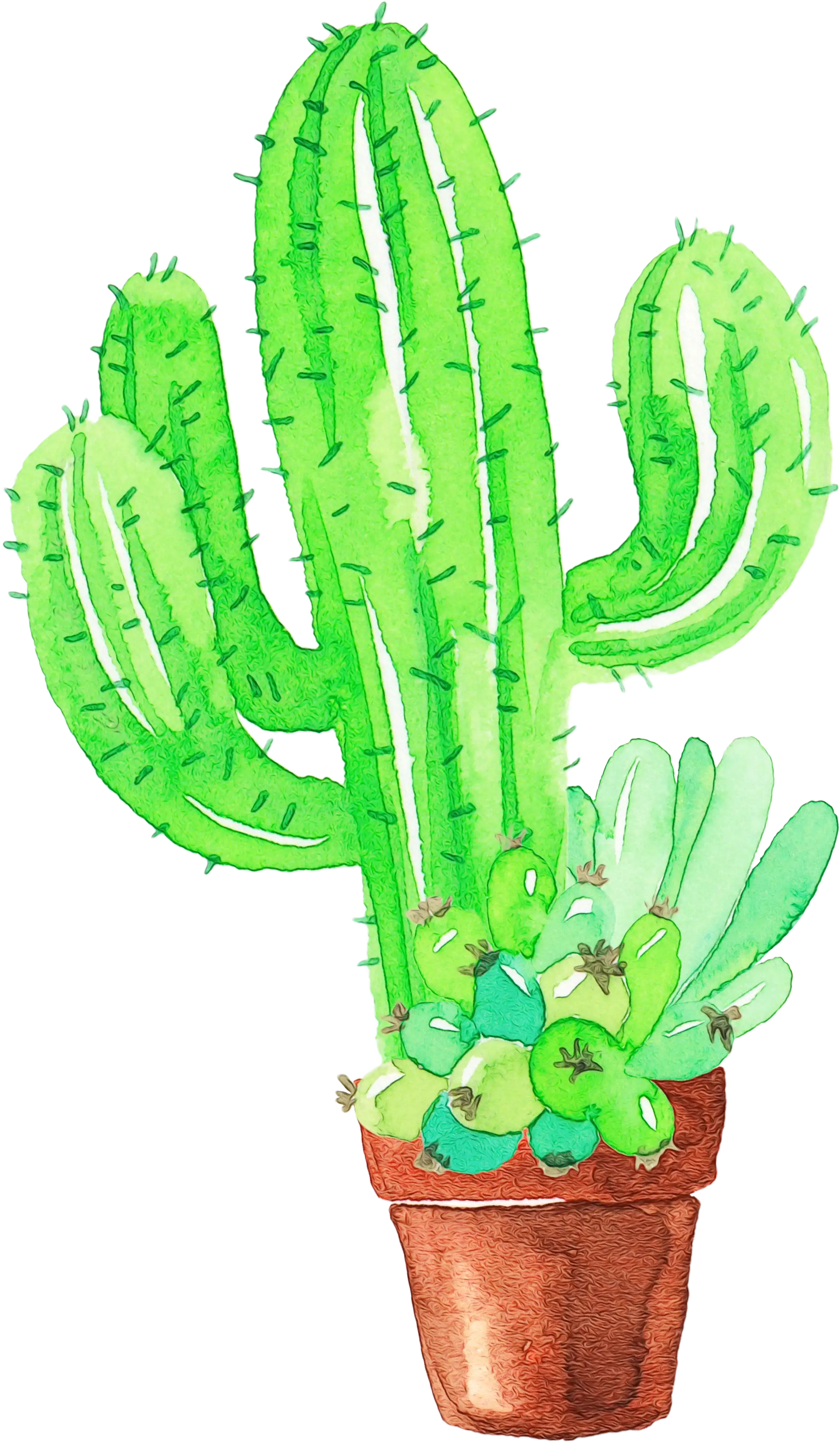 Potted Green Cactus Illustration