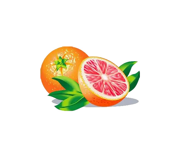 Fresh Orange and Grapefruit with Leaves