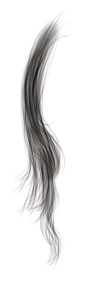 Wavy Strand of Black Hair