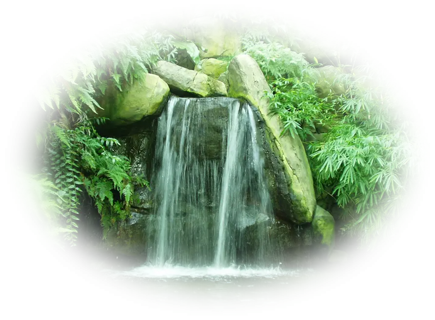 Serene Waterfall in Greenery