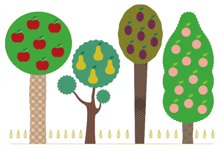 Illustration of Fruit Trees in an Orchard