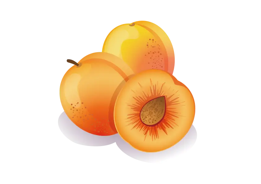 Fresh Juicy Apricots