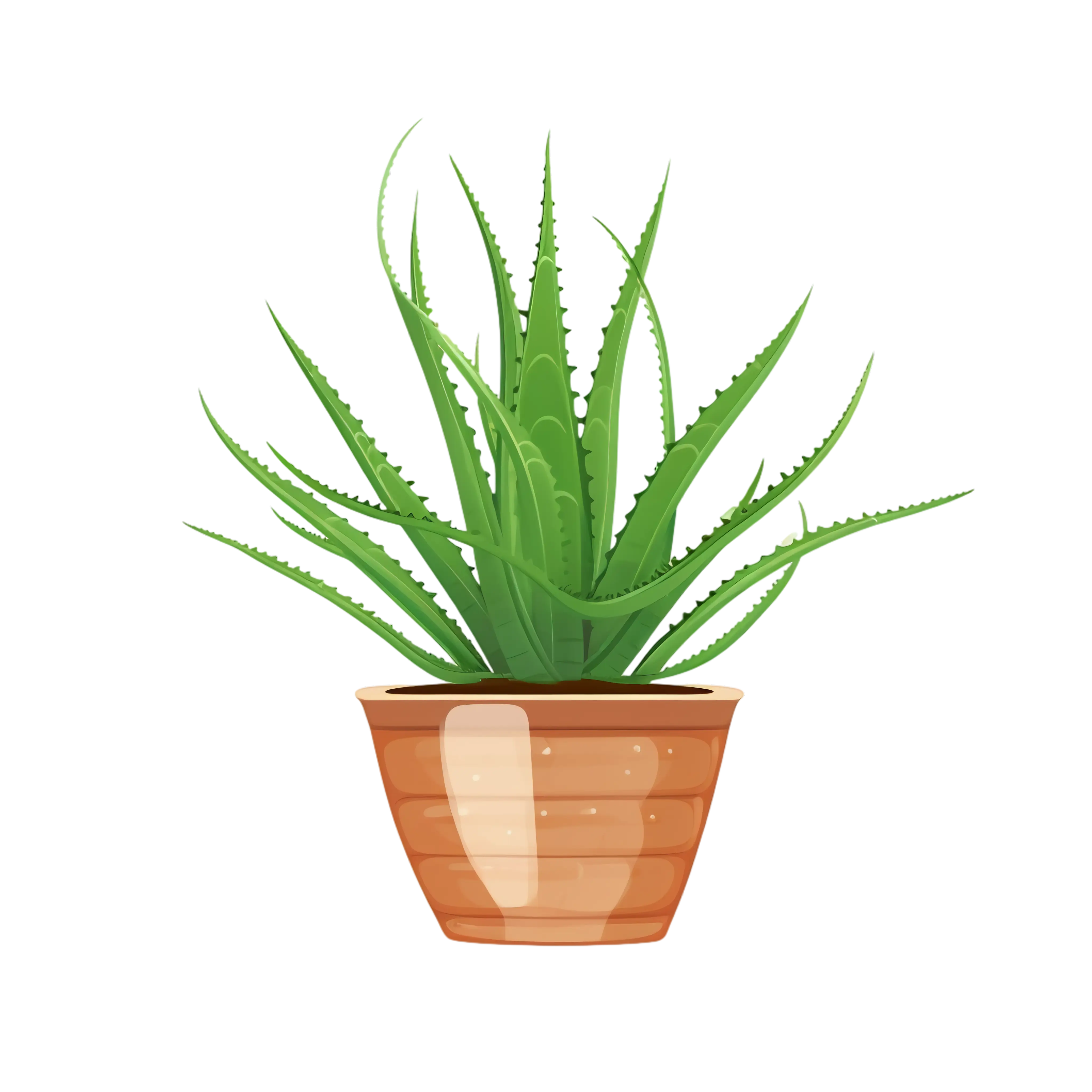 Potted Aloe Vera Plant Illustration