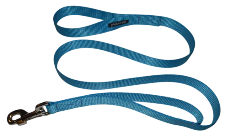 Blue Leash for Dog Walking