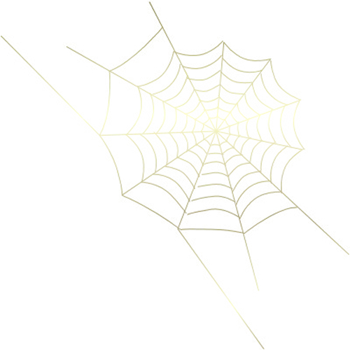 Transparent Spider Web Illustration