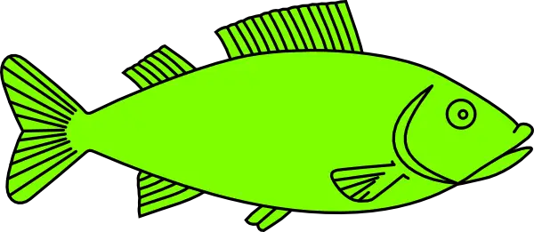Green fish illustration in minimalistic style