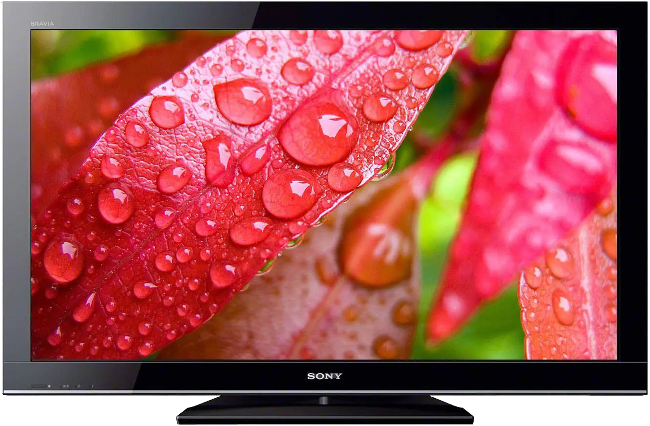 Modern Flat Screen TV with Leaves