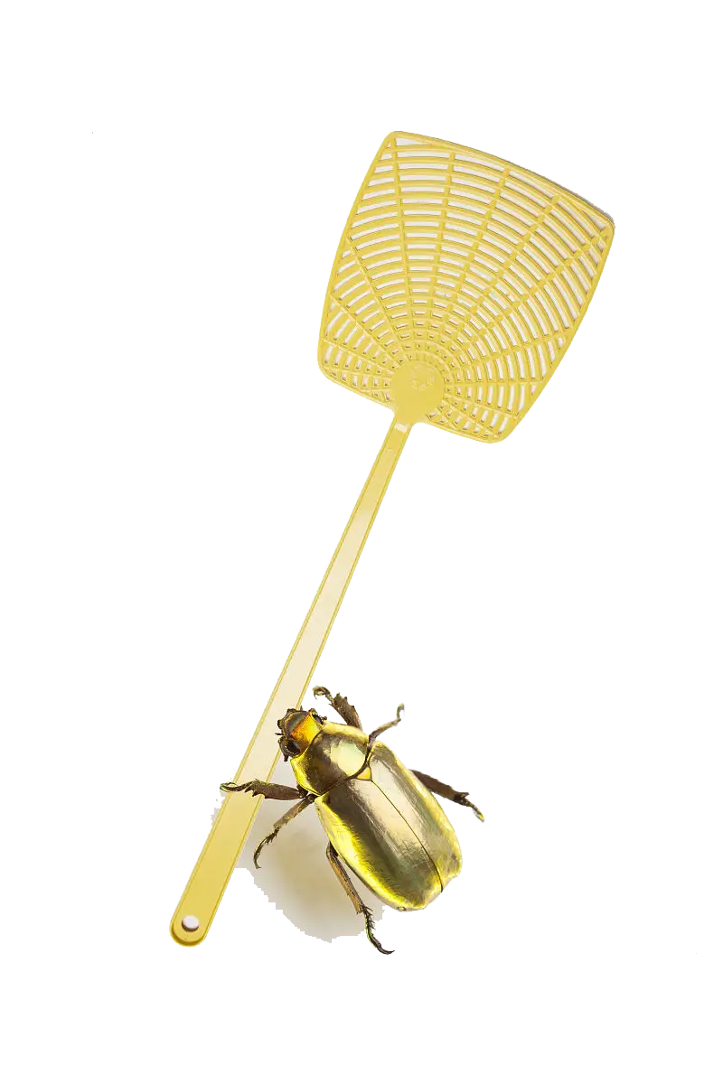 Fly Swatter with Bug