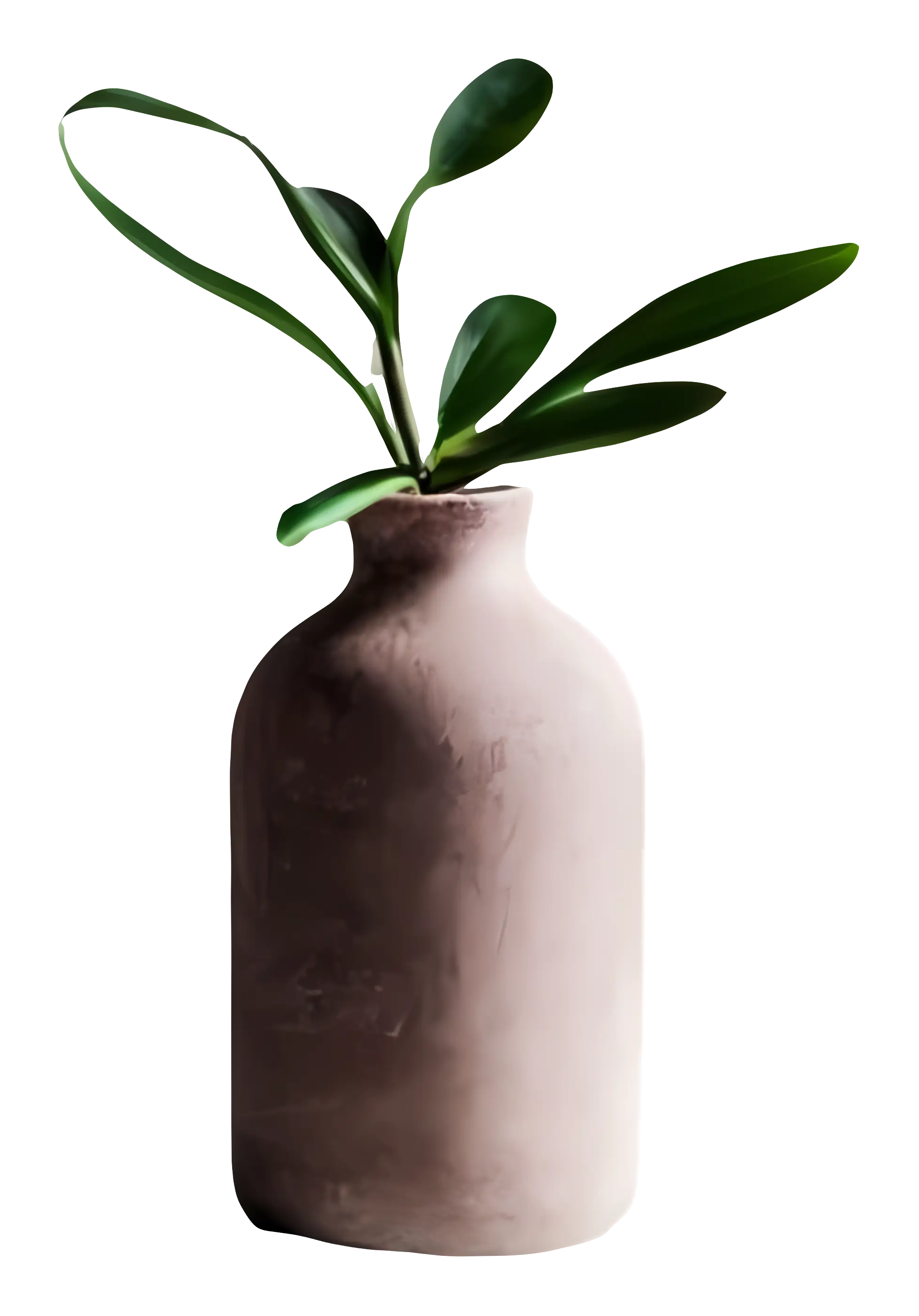 Green Plant in Vase