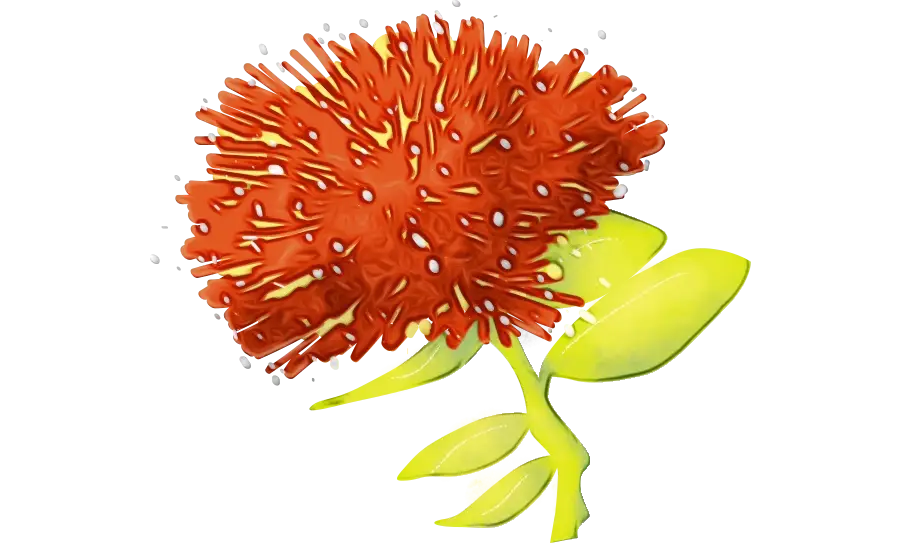 Red Flower in Bloom