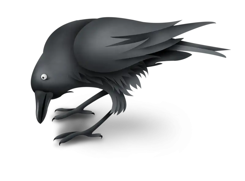 Black Crow Illustration
