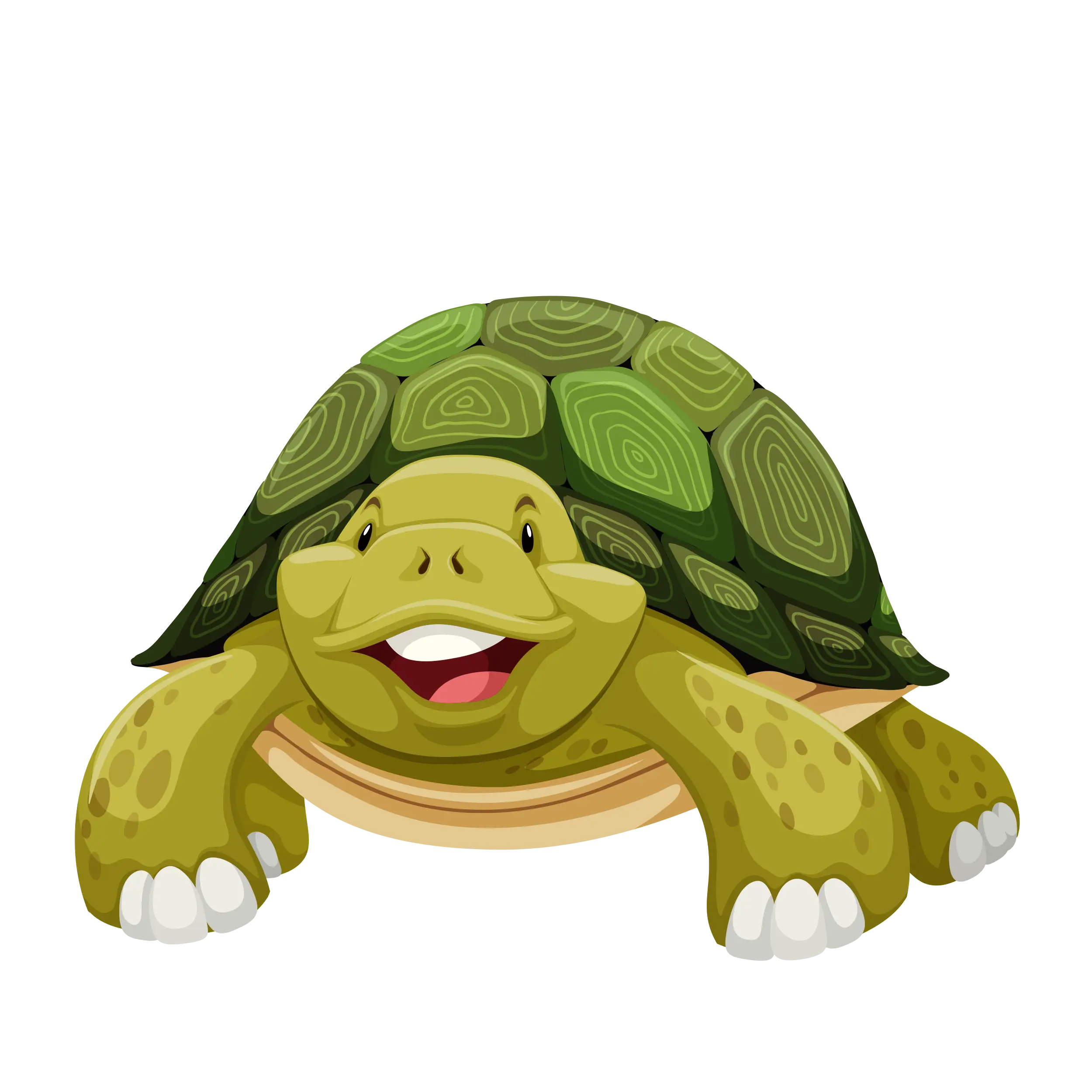 Happy Cartoon Turtle Illustration