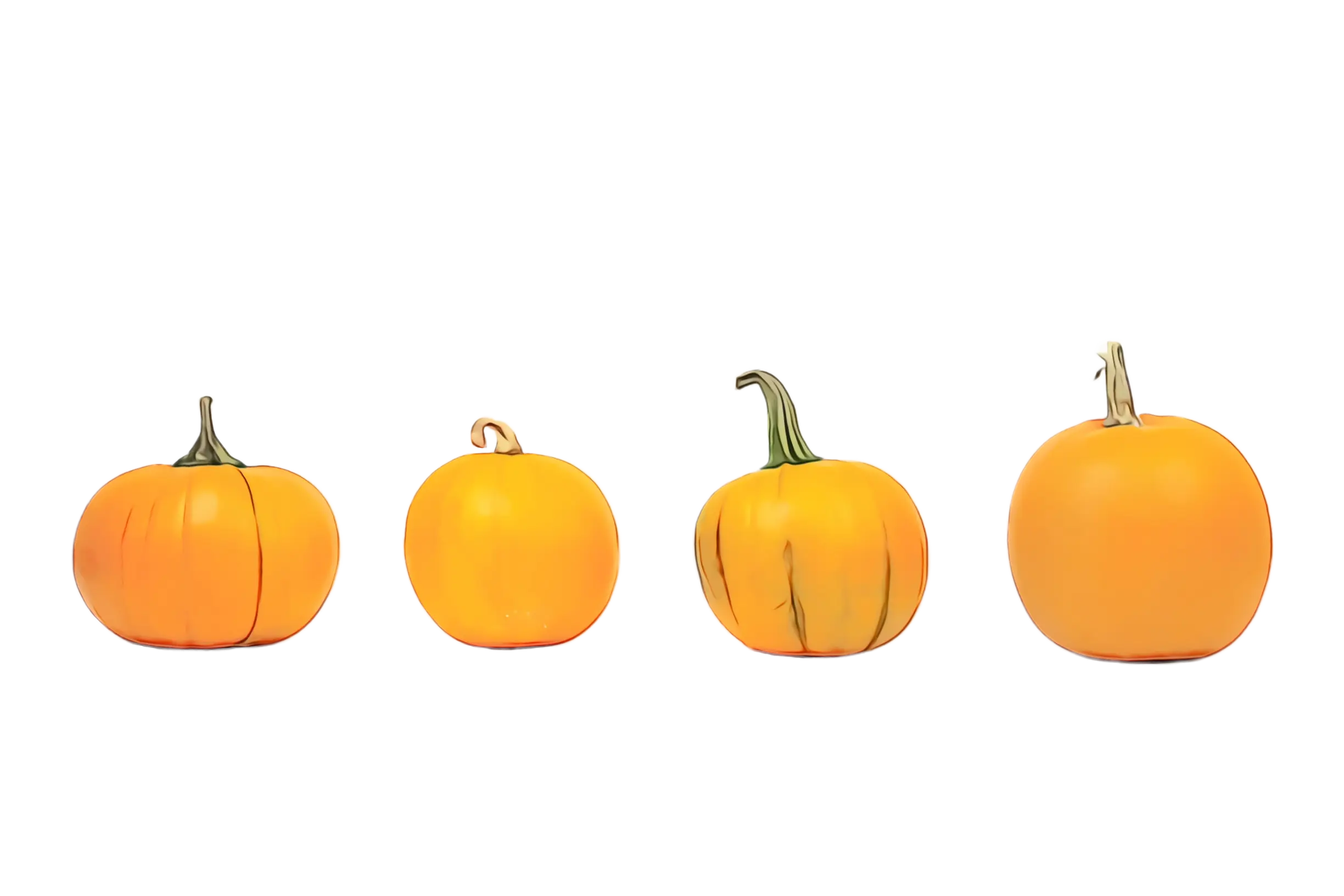 Pumpkins Aligned in a Row