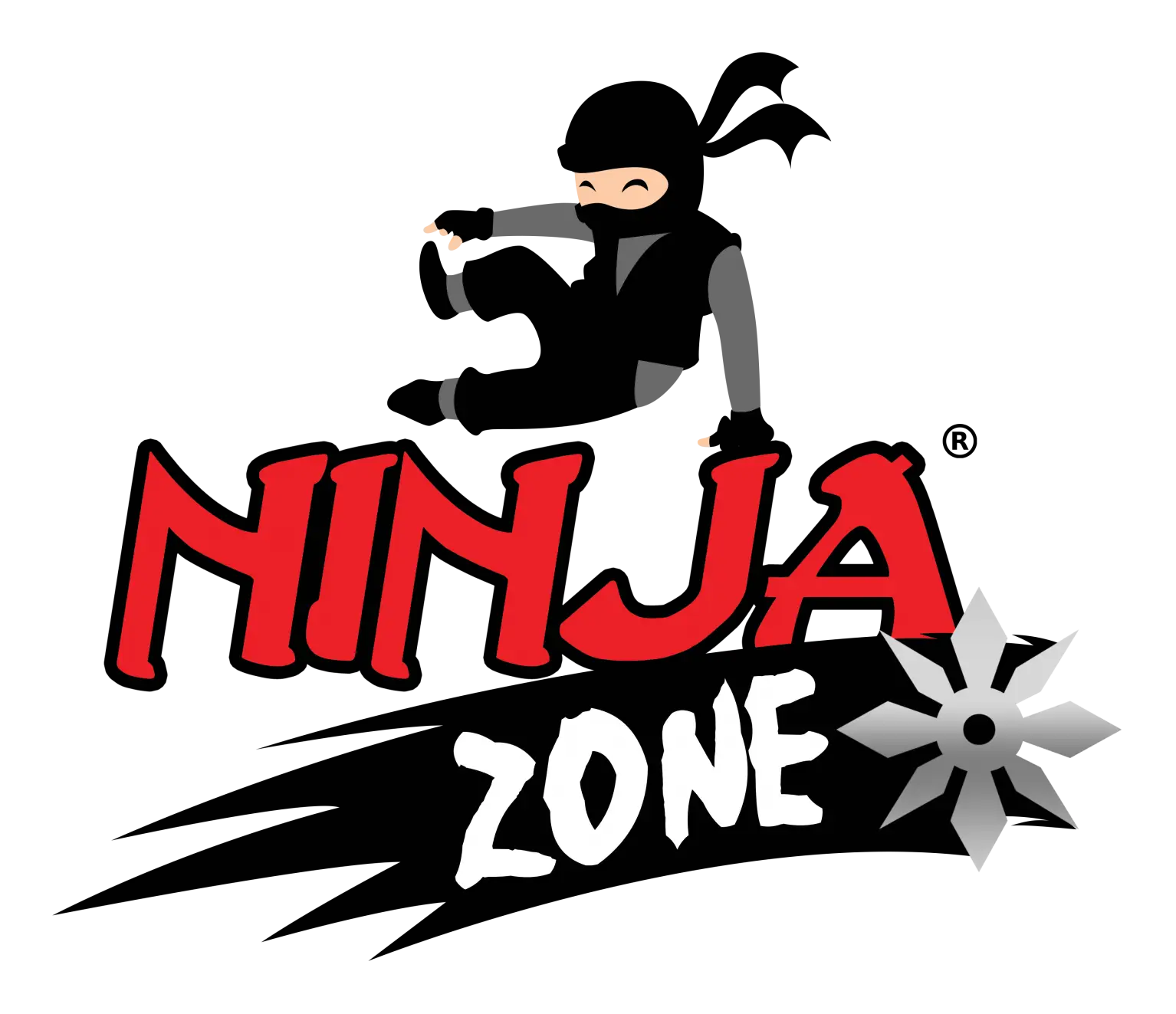 Ninja Zone Martial Arts Logo