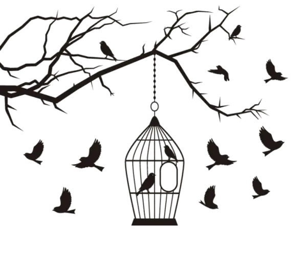 Birds Flying Around a Cage on a Branch