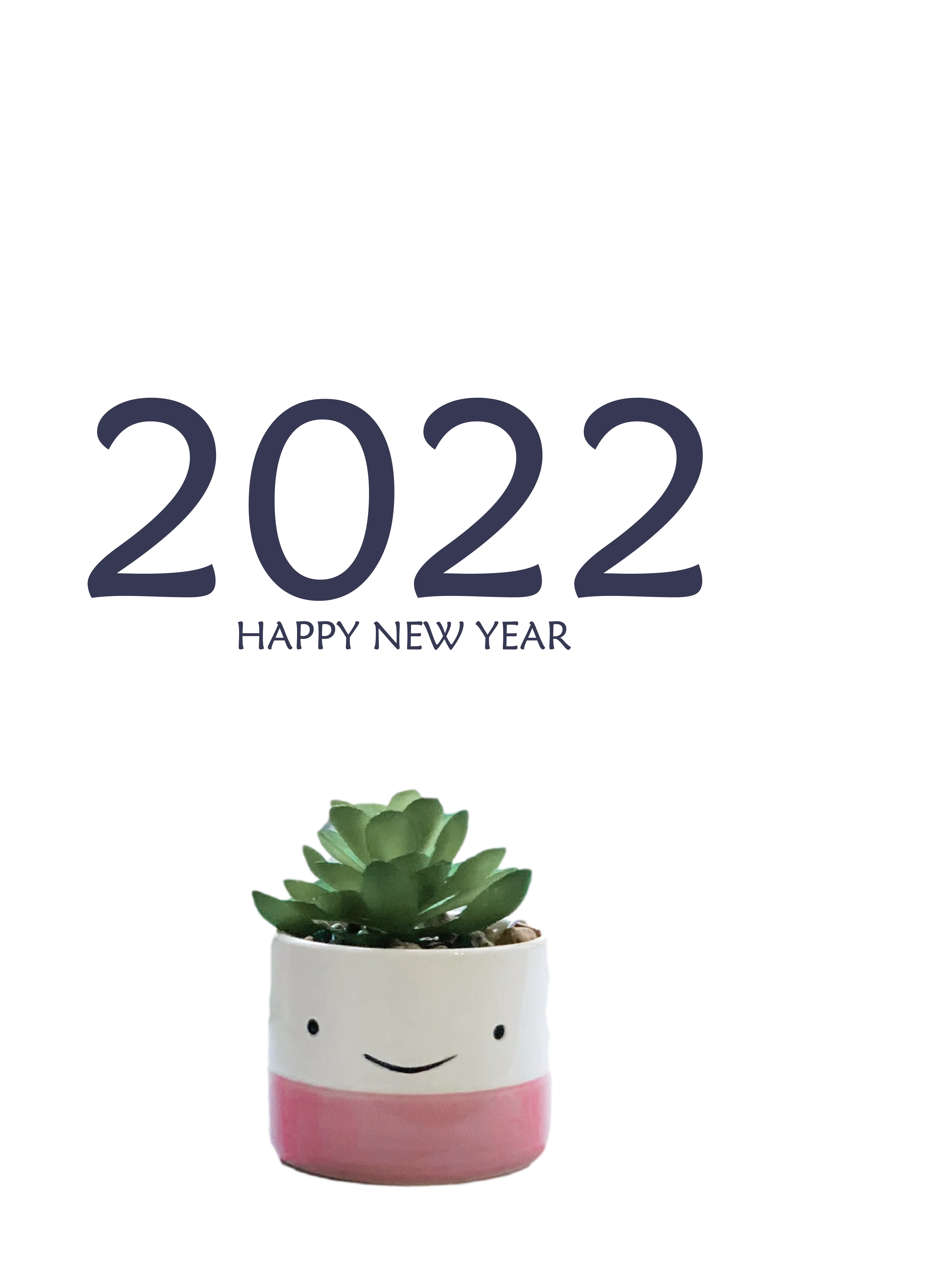 Happy New Year 2022 with Succulent Plant