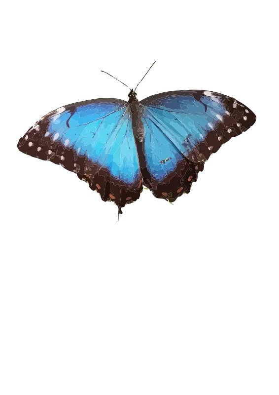 Blue Butterfly Illustration with Detailed Wings