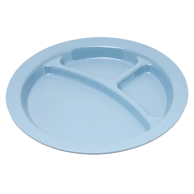 Blue Sectioned Dining Plate
