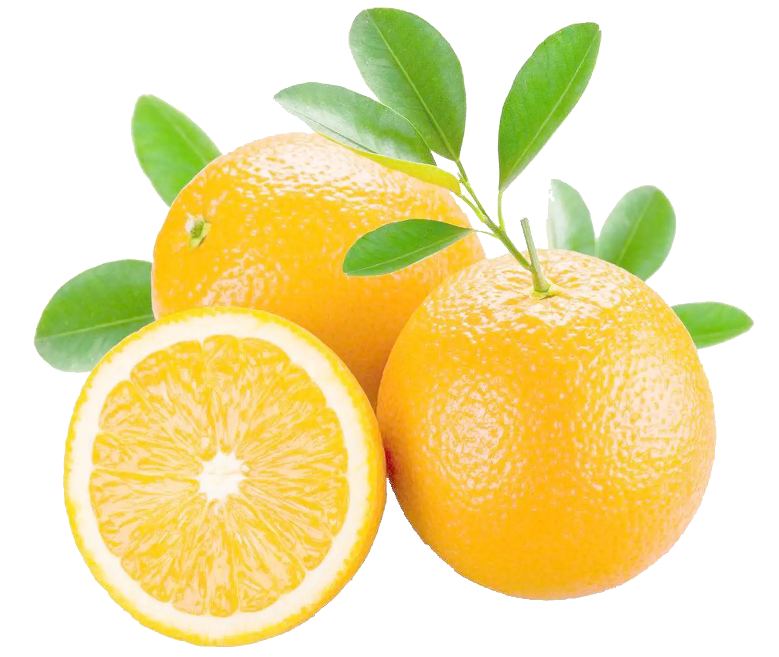 Fresh Juicy Orange Fruits