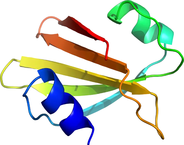 Colorful Protein Structure Diagram Illustration