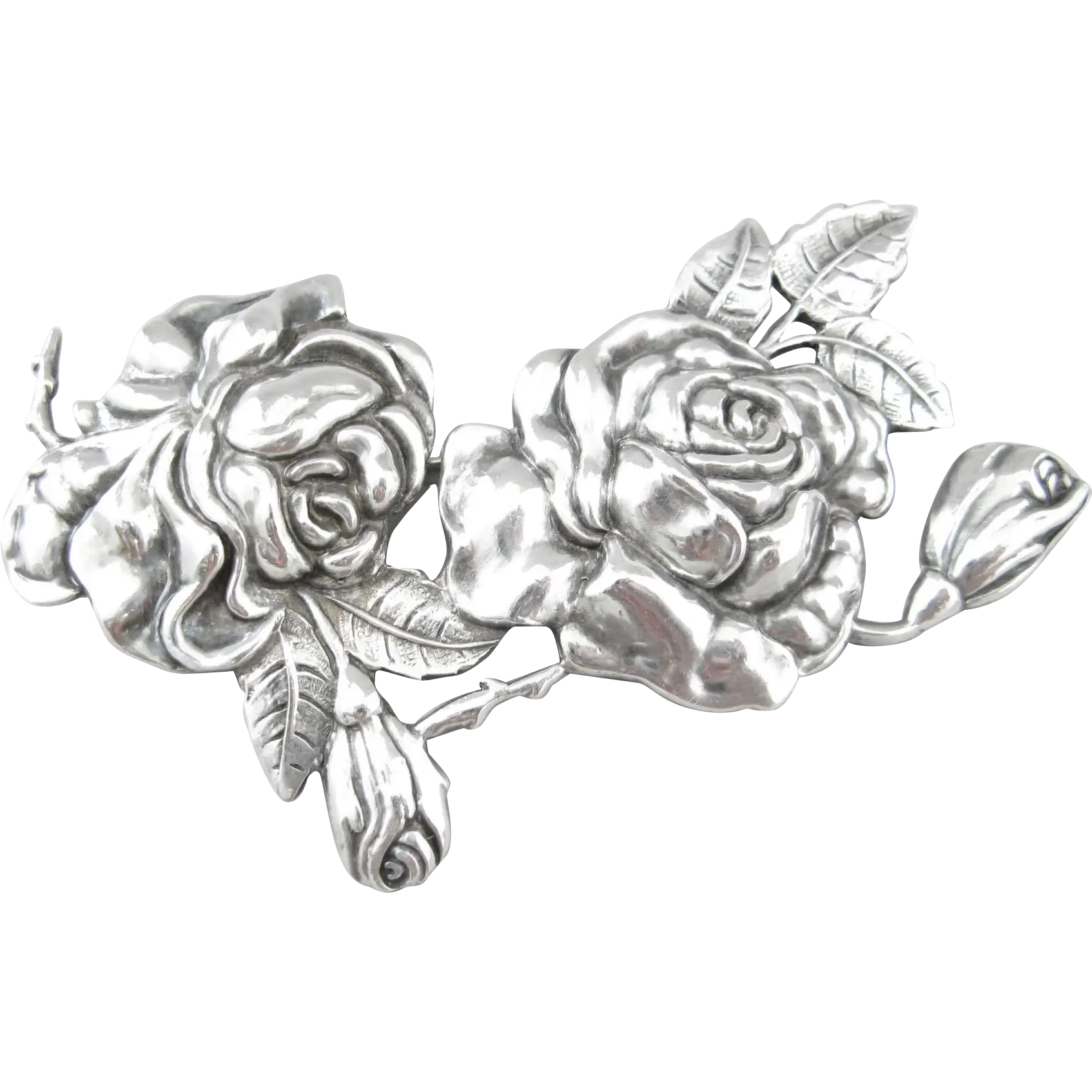 Silver Roses Illustration