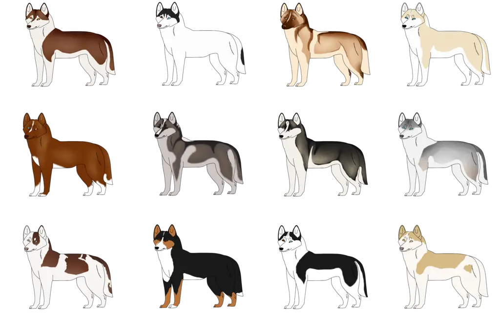 Various Dog Breeds Illustrations