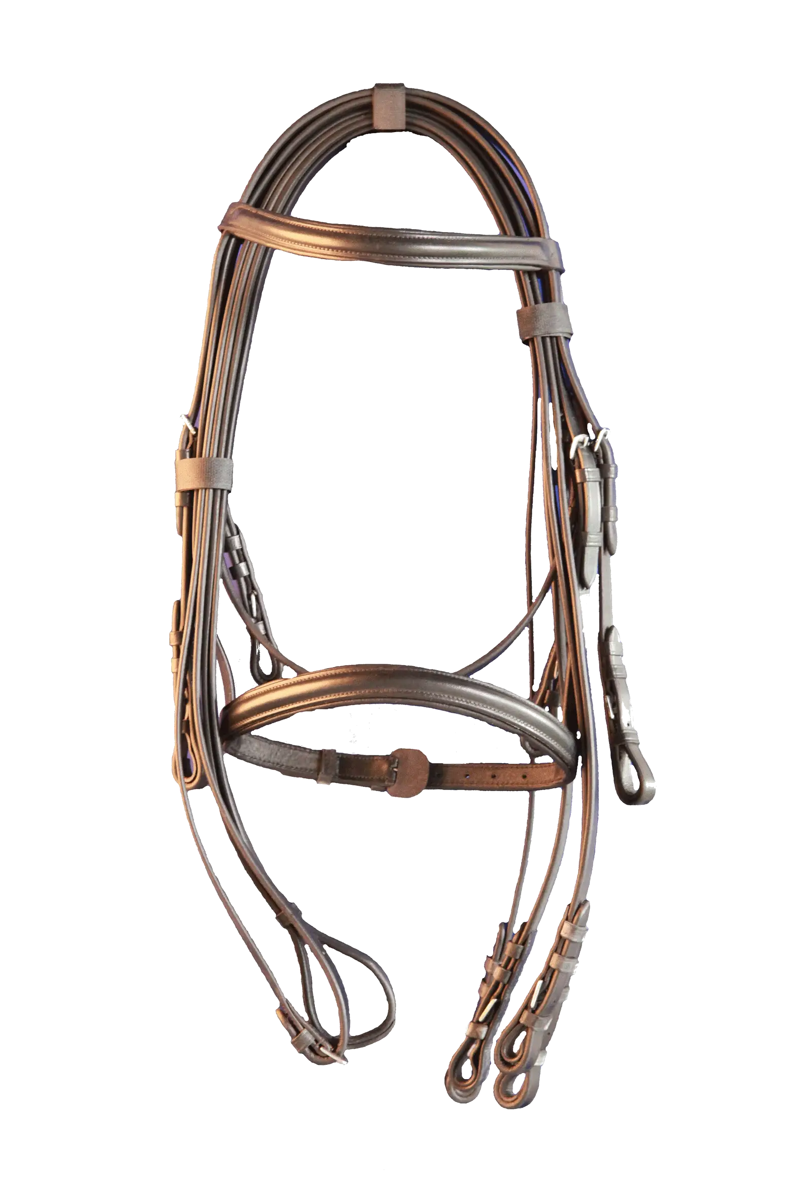 Detailed Leather Horse Bridle