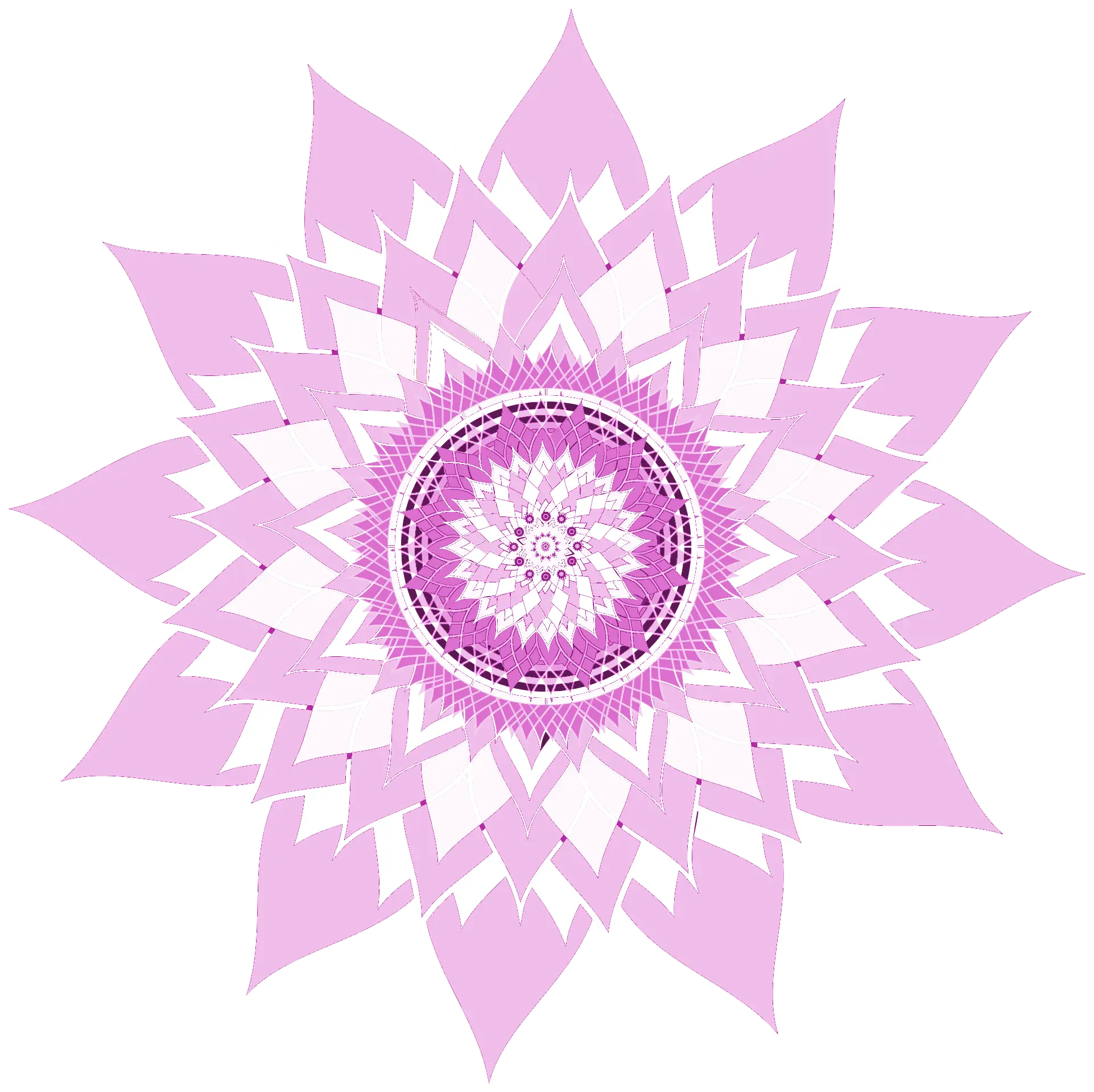 Pink Mandala Design