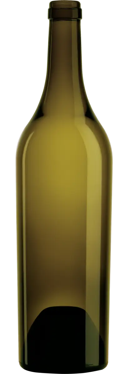 Minimalist Empty Glass Bottle for Beverage Storage