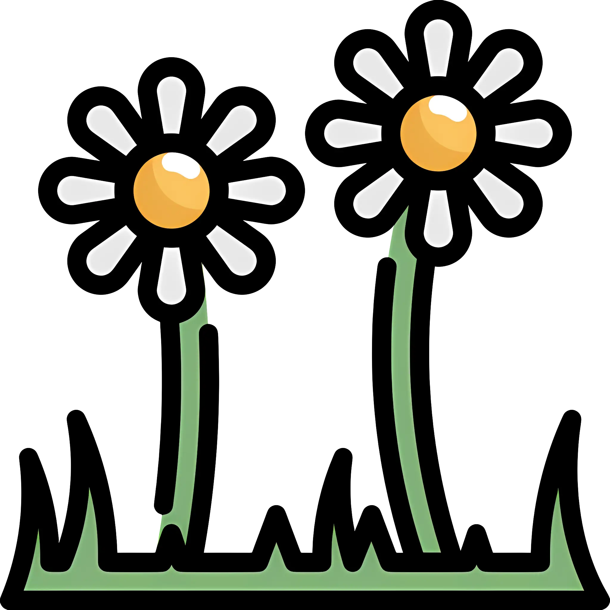 Pair of Daisies in Grass