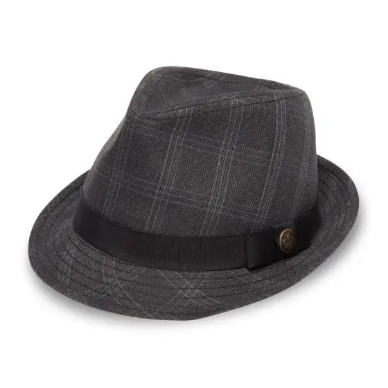 Gray Fedora Hat