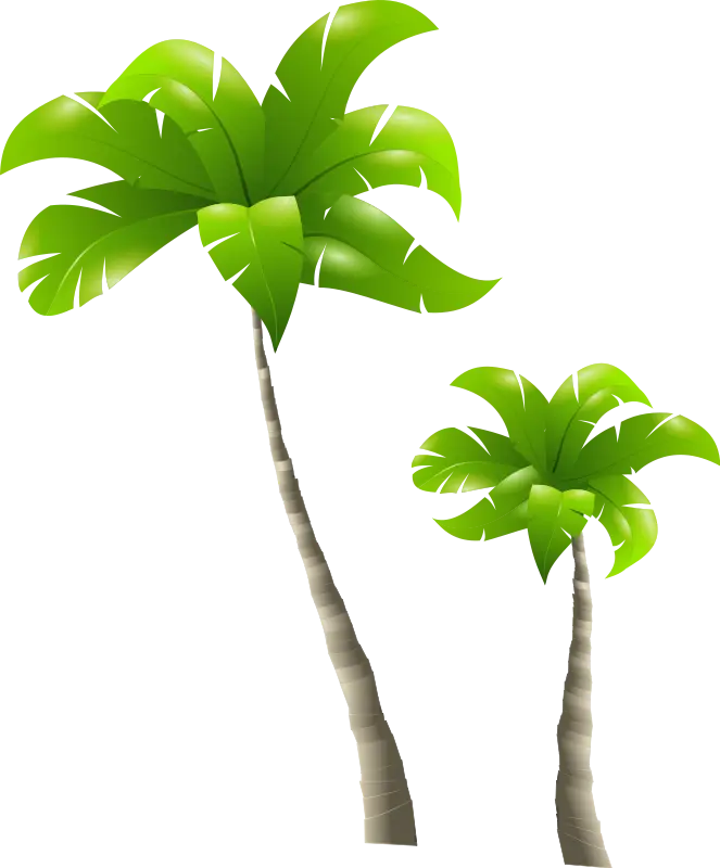Green Tropical Palm Trees