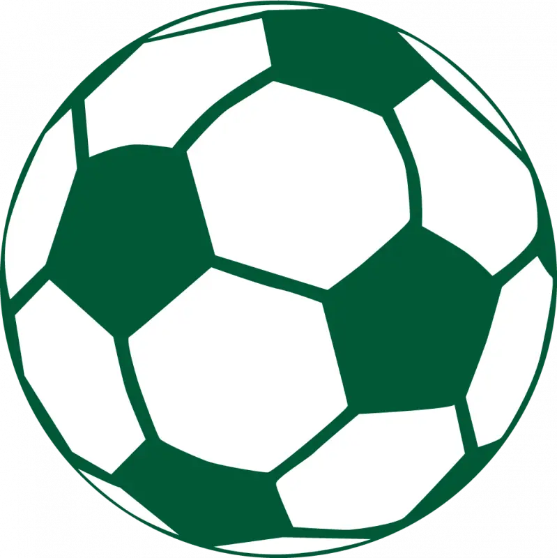 Green and White Soccer Ball Icon Design