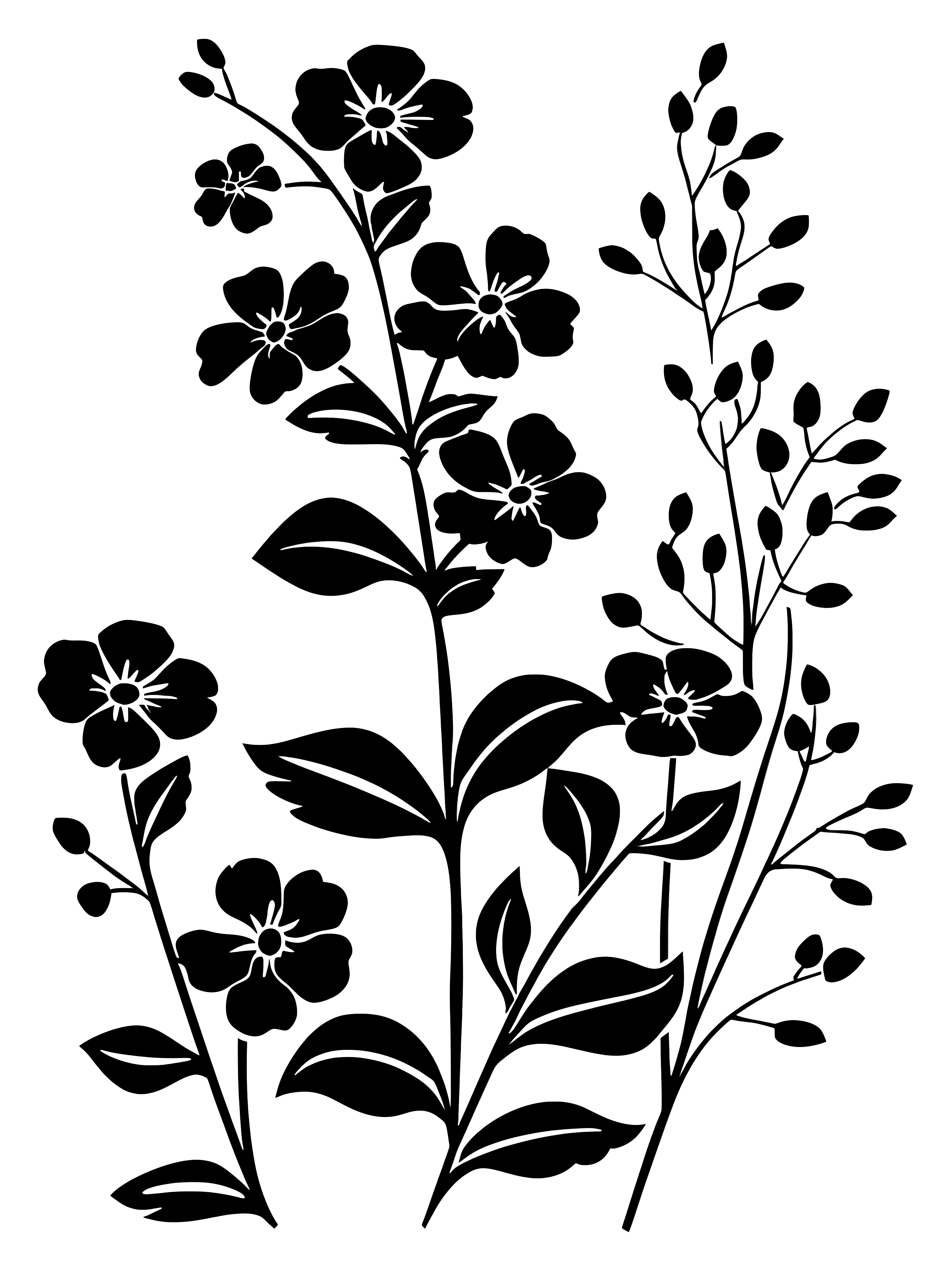Elegant Black Floral Silhouette Design