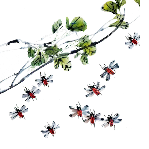 Fireflies and Branch Illustration