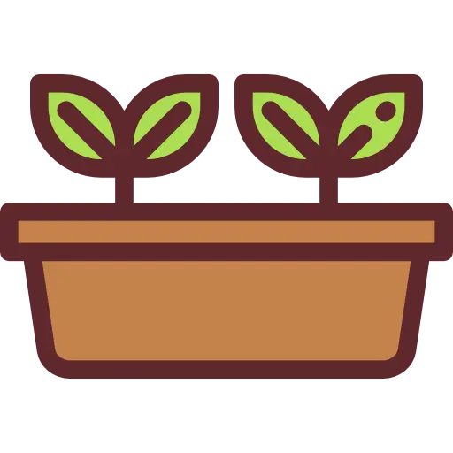 Potted Plants in Brown Container