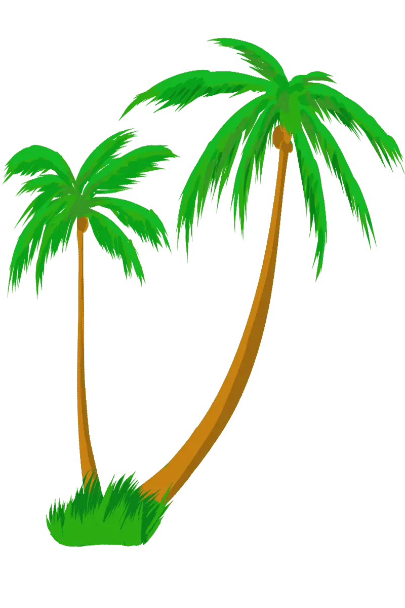 Green Palm Trees in Tropical Scenery