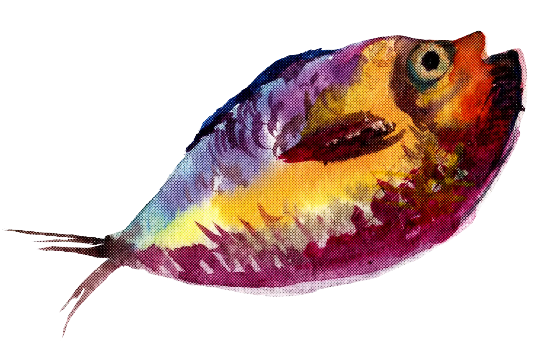 Colorful Fish in the Sea