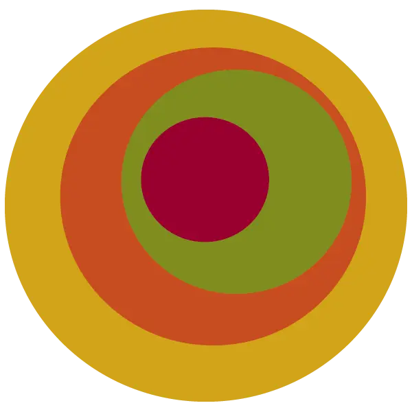Colorful Concentric Circle Abstract Design
