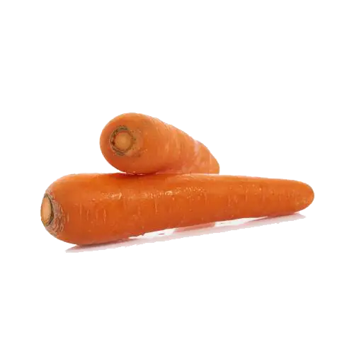 Fresh Orange Carrots for Healthy Living Concepts
