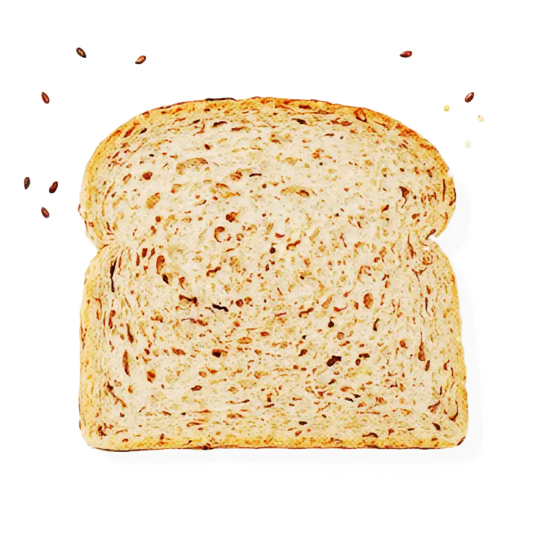 Whole Grain Bread Slice