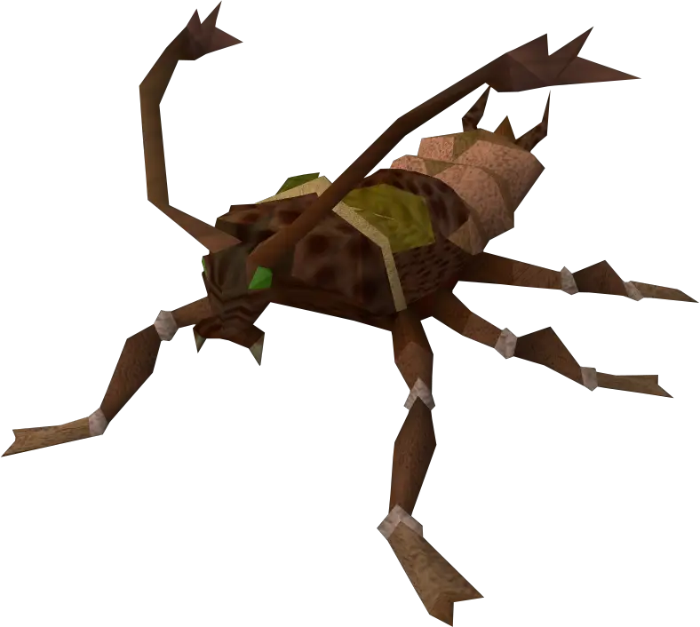 Brown Insect with Multiple Legs