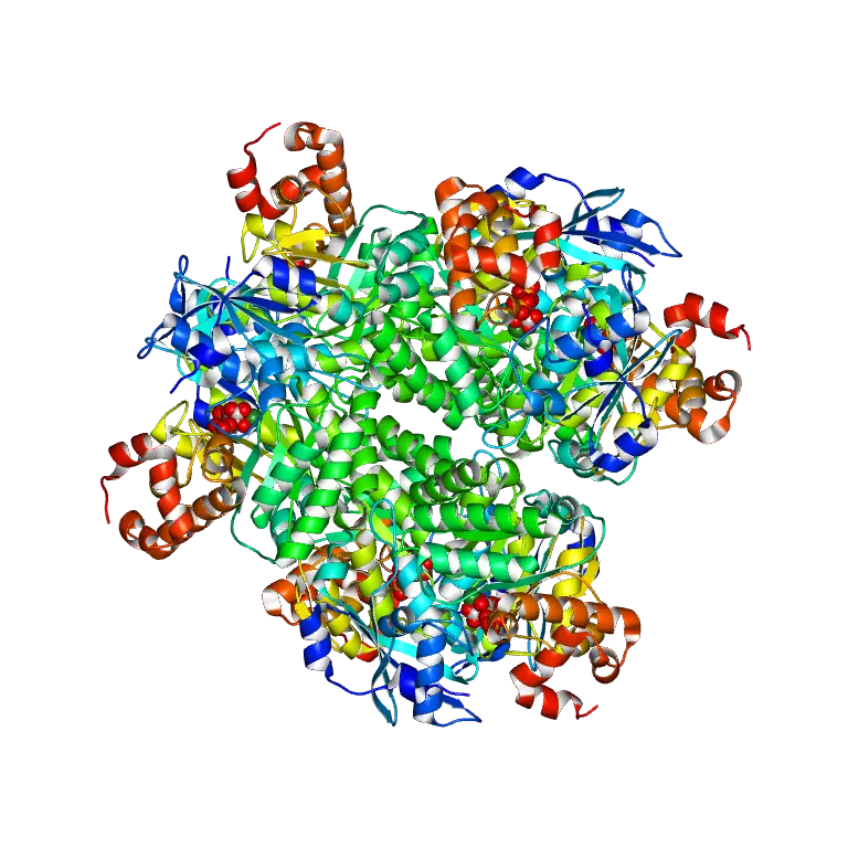 Protein Structure Model Illustration