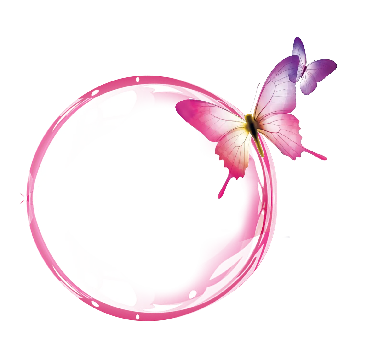 Pink Butterfly Frame