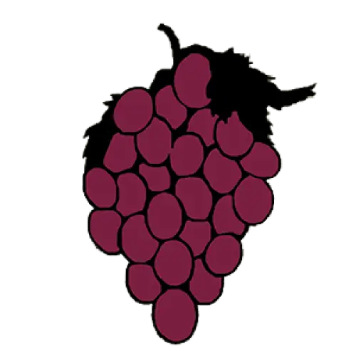 Bunch of Grapes Illustration