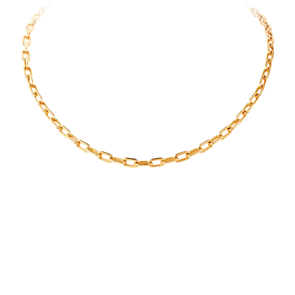 Elegant Gold Chain Accessory
