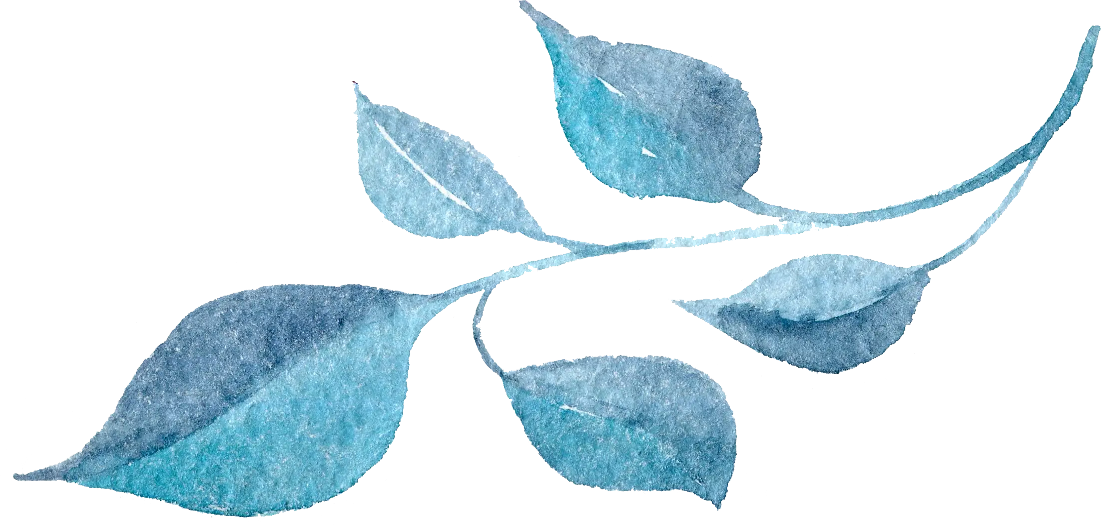Blue Watercolor Leaves Illustration