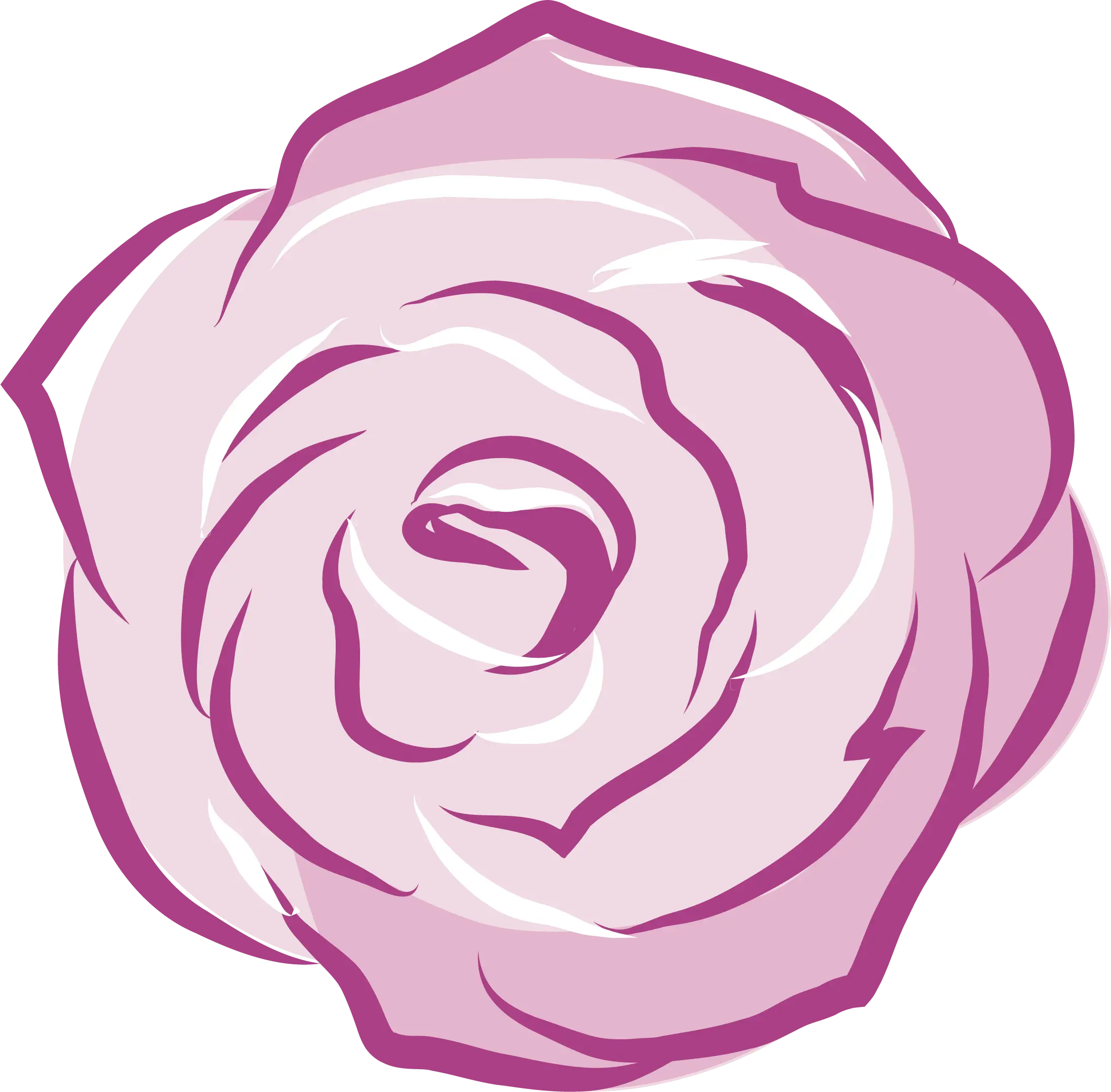 Pink Rose Decorative Illustration