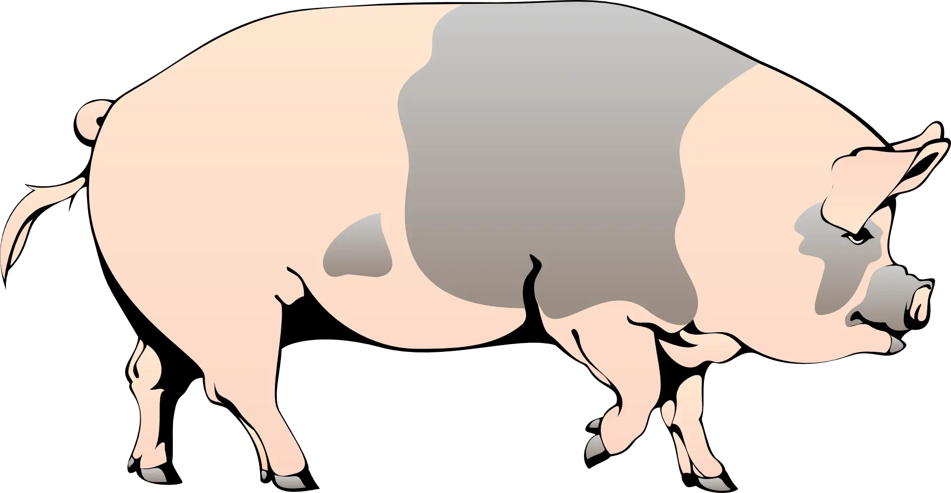 Illustrated Cartoon Pig with Grey Spots